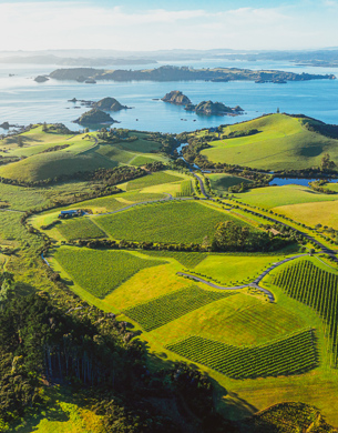 The Landing Wines Aerial View 