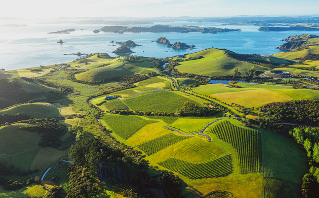 The Landing Wines Aerial View 