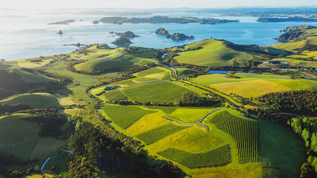 The Landing Wines Aerial View 