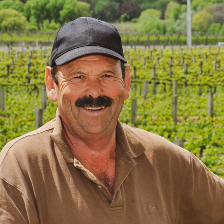 John Clarke in vineyard