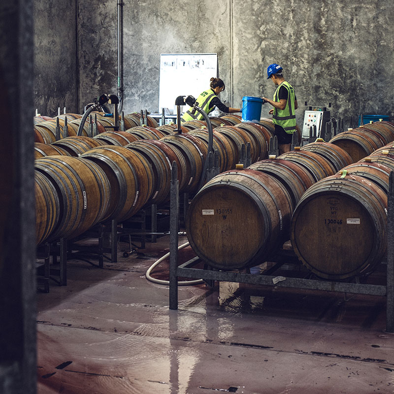 People in red cellar