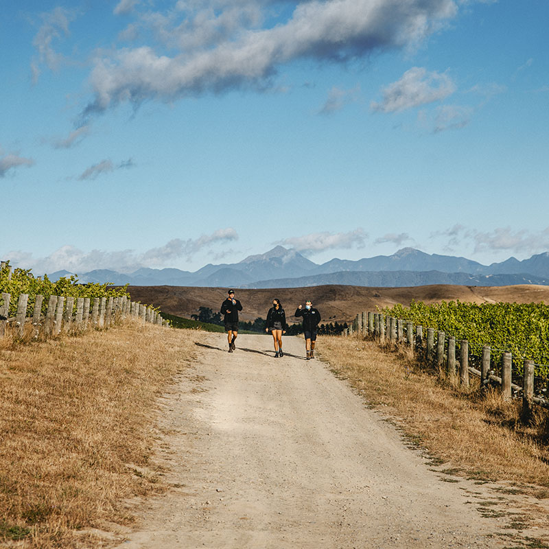 Young Viticulturist Competition, Richard Briggs