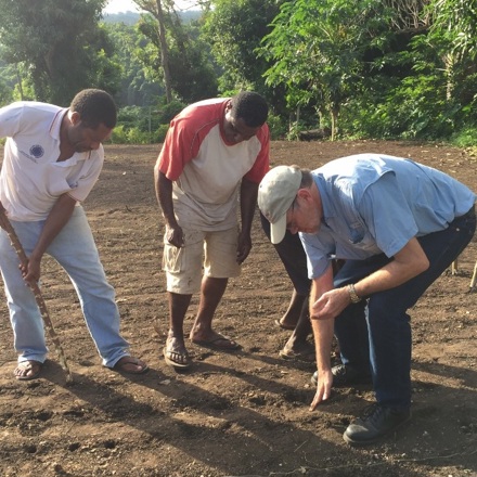Men planting peanuts on Tanna Island.
