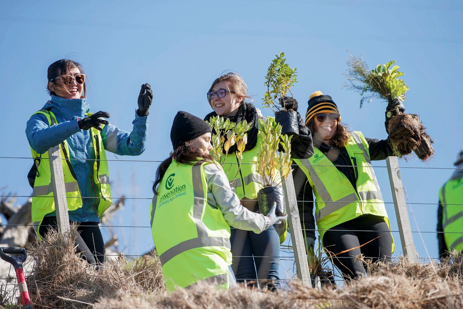 A group of women in high vis vests at Pernod Ricard