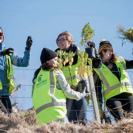 A group of women in high vis vests at Pernod Ricard